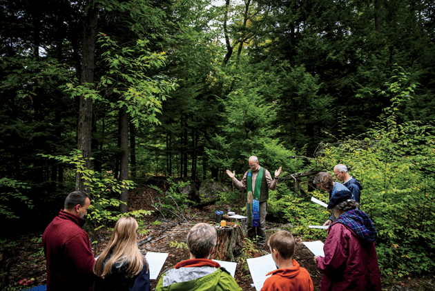 A gathering in a lush green space with a clearing